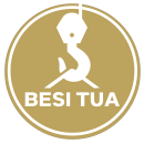 logo besitua2